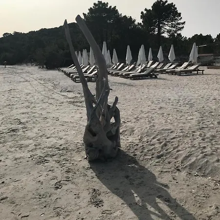 Mini Pour 4 A 300m De La Avec Piscine Σπίτι διακοπών