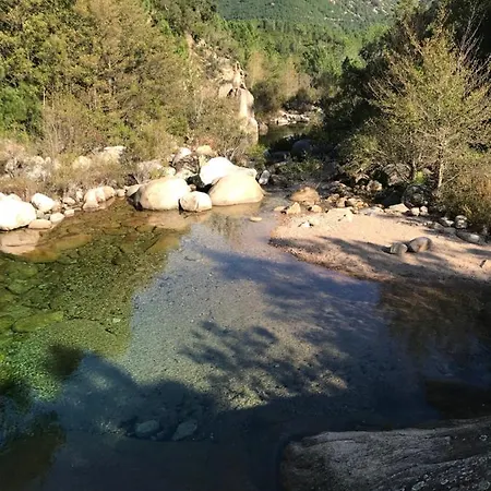 Mini Pour 4 A 300m De La Avec Piscine Zonza